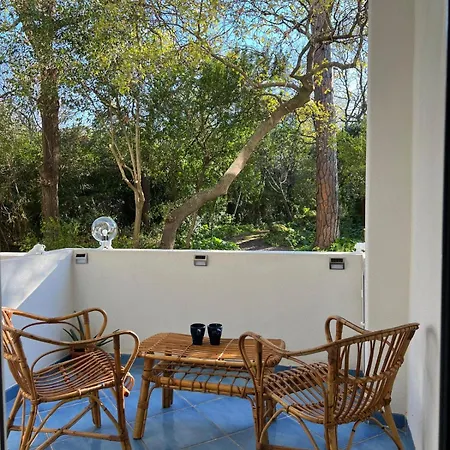 Casa Imparo 招待所 伊斯基亚